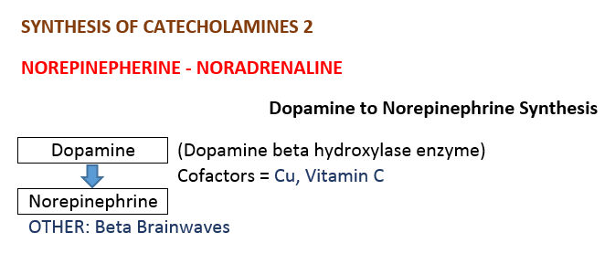 norepinephrine synthesis
